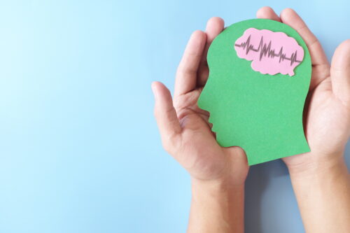 Hands holding human head profile cutout with healthy brain.