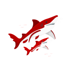 cartoon of sharks