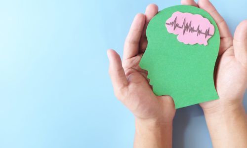 Hands holding human head profile cutout with healthy brain.