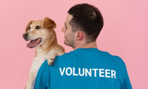 man wearing a blue volunteer shirt and holding a dog